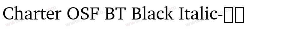 Charter OSF BT Black Italic字体转换